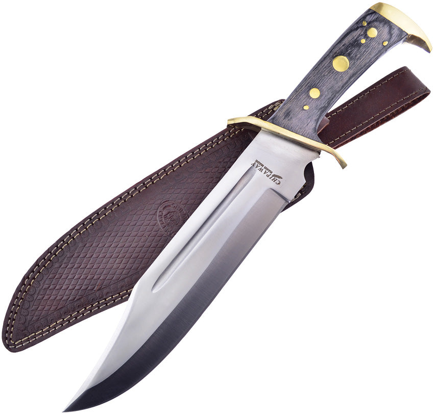 Sunrise Bowie HK00216