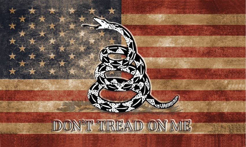 USA Vintage Gadsden Flag R7284