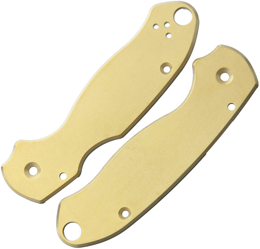 Para3 Scales Brass FLY-572