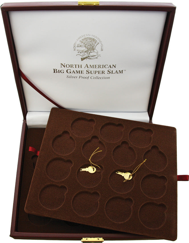 Collectible Coin Display PDSRGH1904