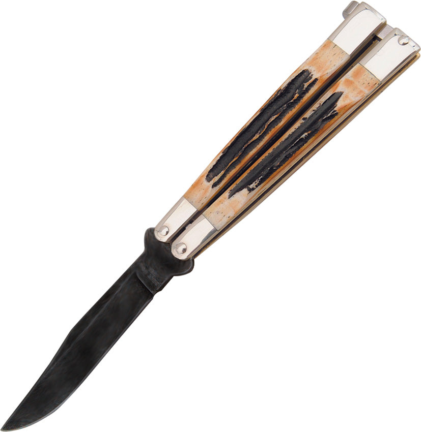 Butterfly Stag 517