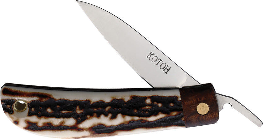Folder Stag D2 KOTOH422514