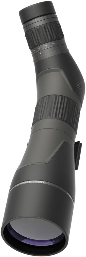 SX-2 Alpine HD 20-60x80 185684