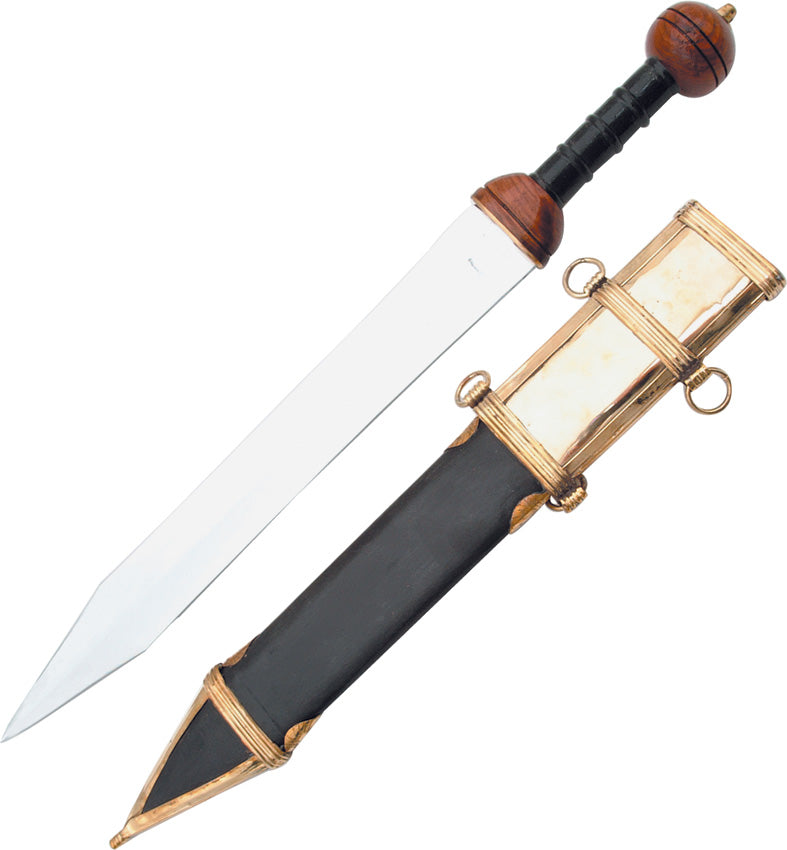 Gladius Sword 910894