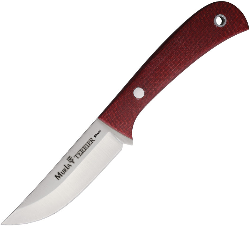 Terrier Fixed Blade Red TERRIER-9Y