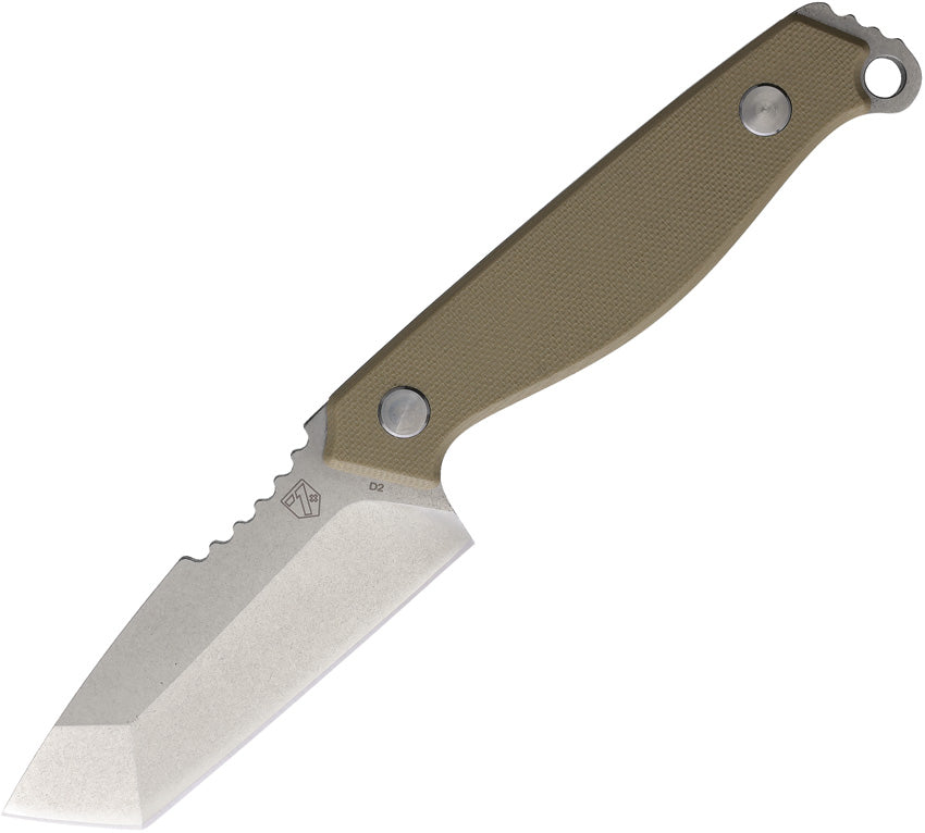 Raptor Fixed Blade SW FDE FBG240503DESW