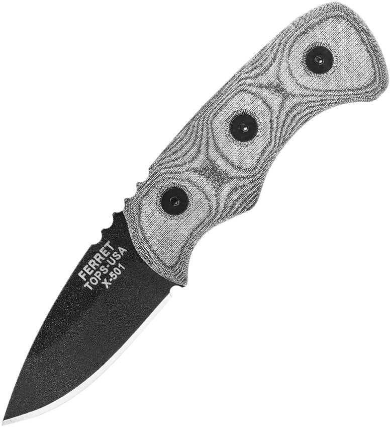 Ferret FBHP-01
