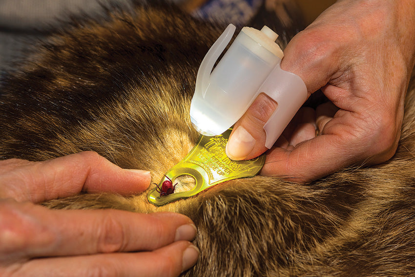 TickSee Tick Removal Kit GR400-TSKT