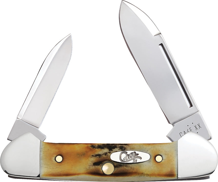 Baby Butterbean Sambar Stag 5537