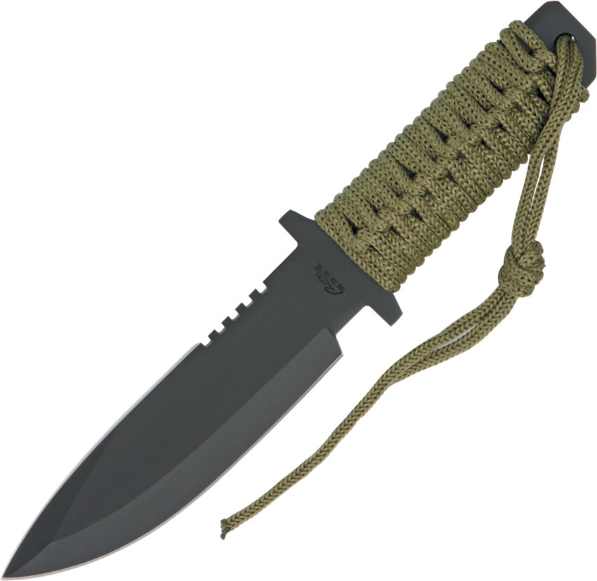Military Spear 210668