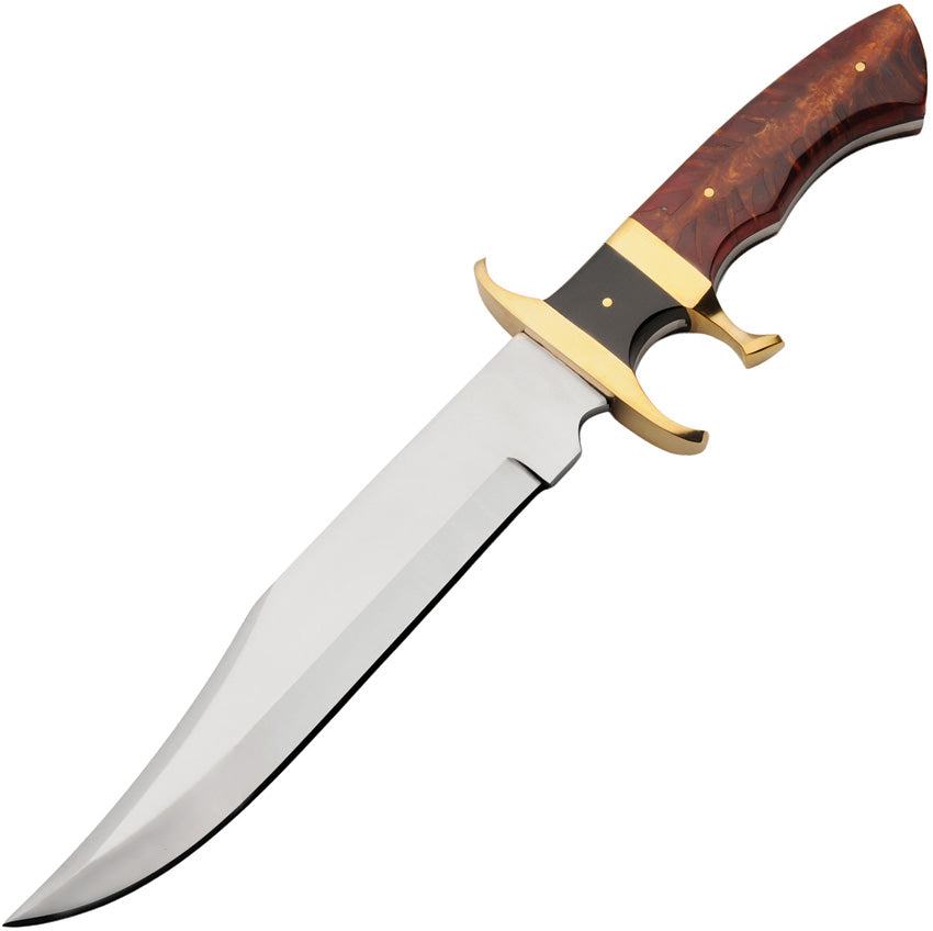 Terra Bowie 203552