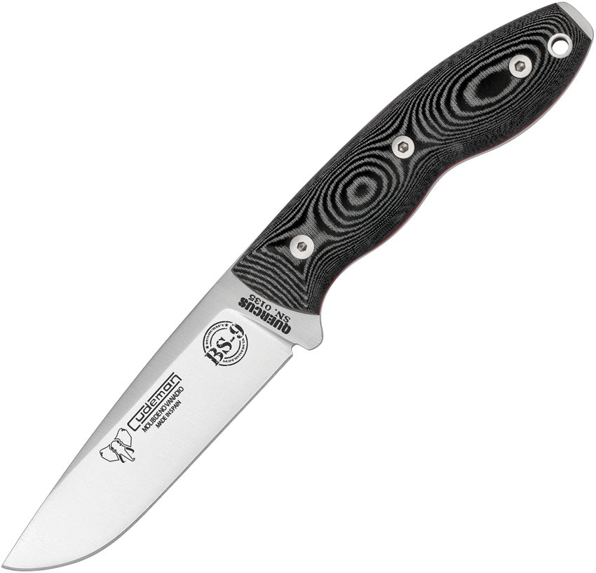 Quercus Fixed Blade 160-M