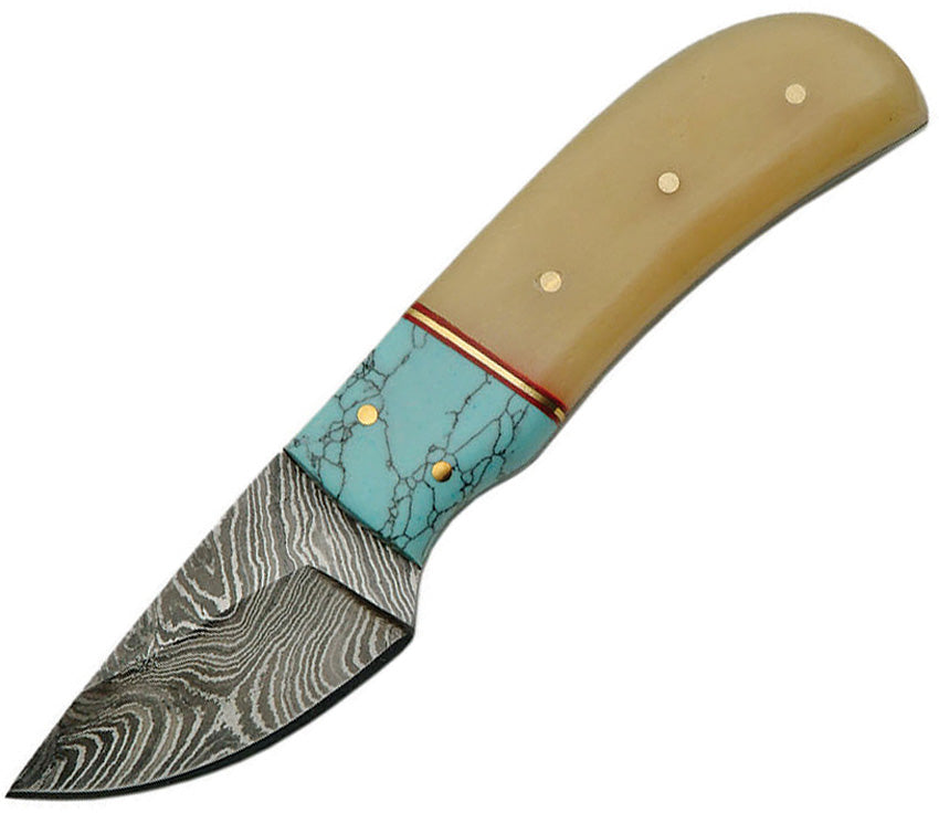 Fixed Blade Turquoise DM-1146TR