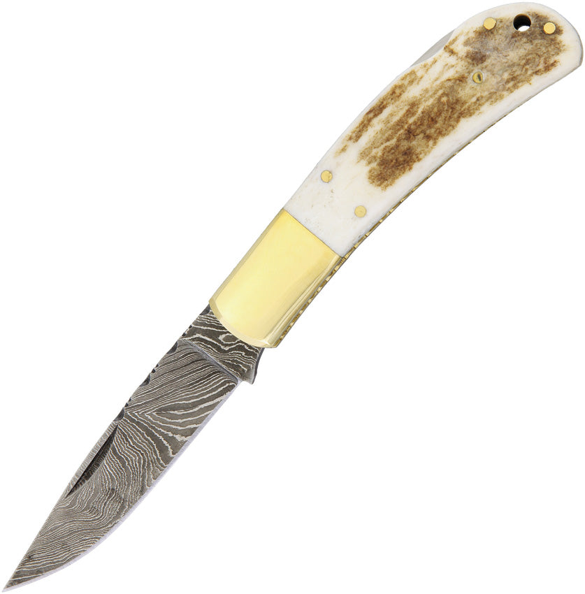 Lockback Stag DM-1168