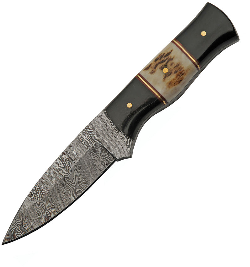 Hunter Buffalo Stag