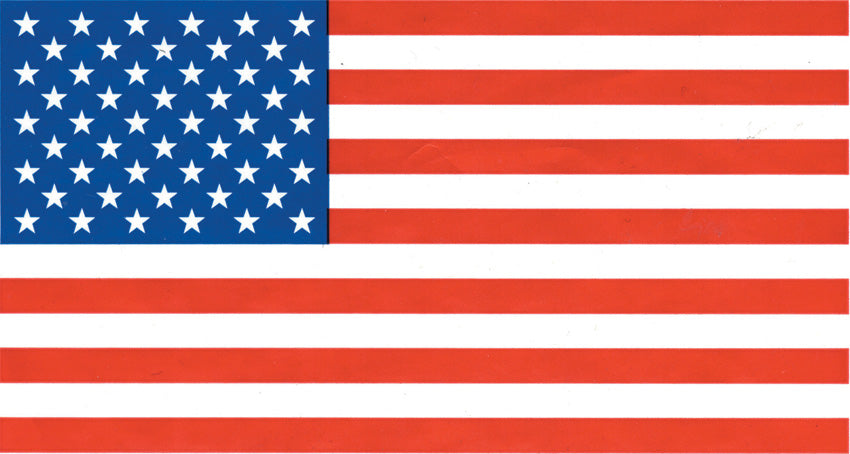 USA Flag RG6878