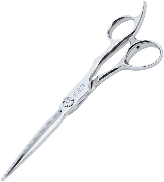 Professional Coiffeur Scissors