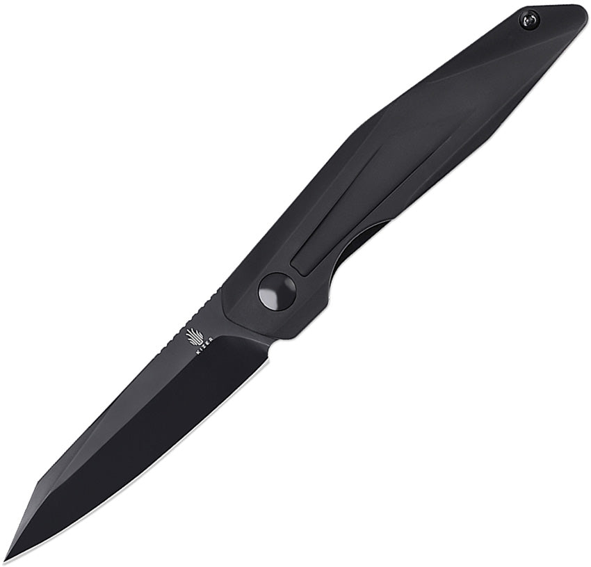 Spot Linerlock Black  V3620C2