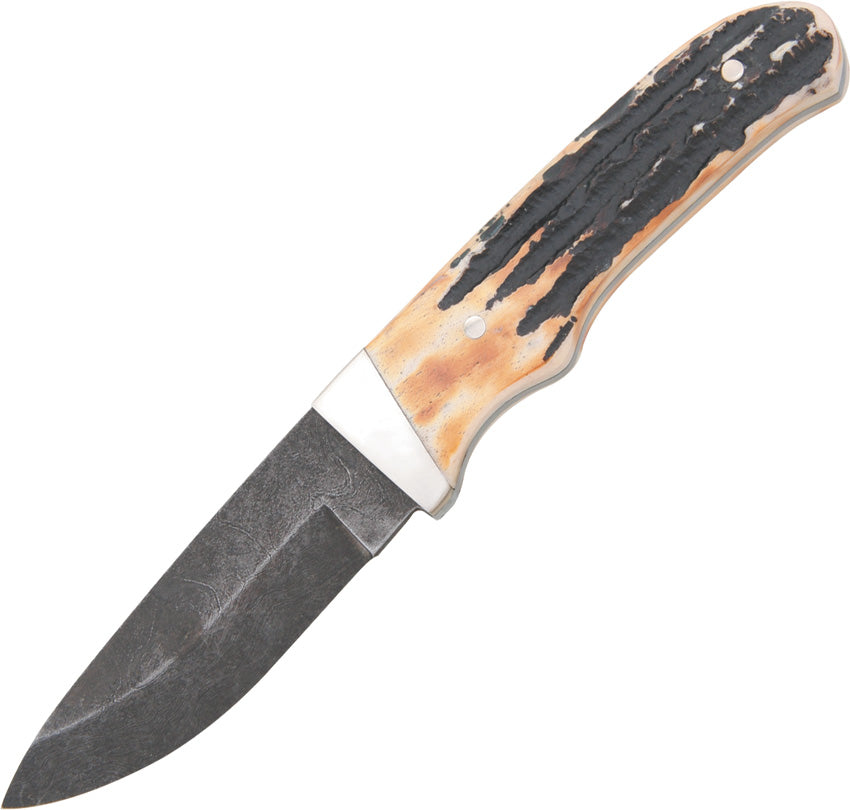 Pro Skinner Stag 549D