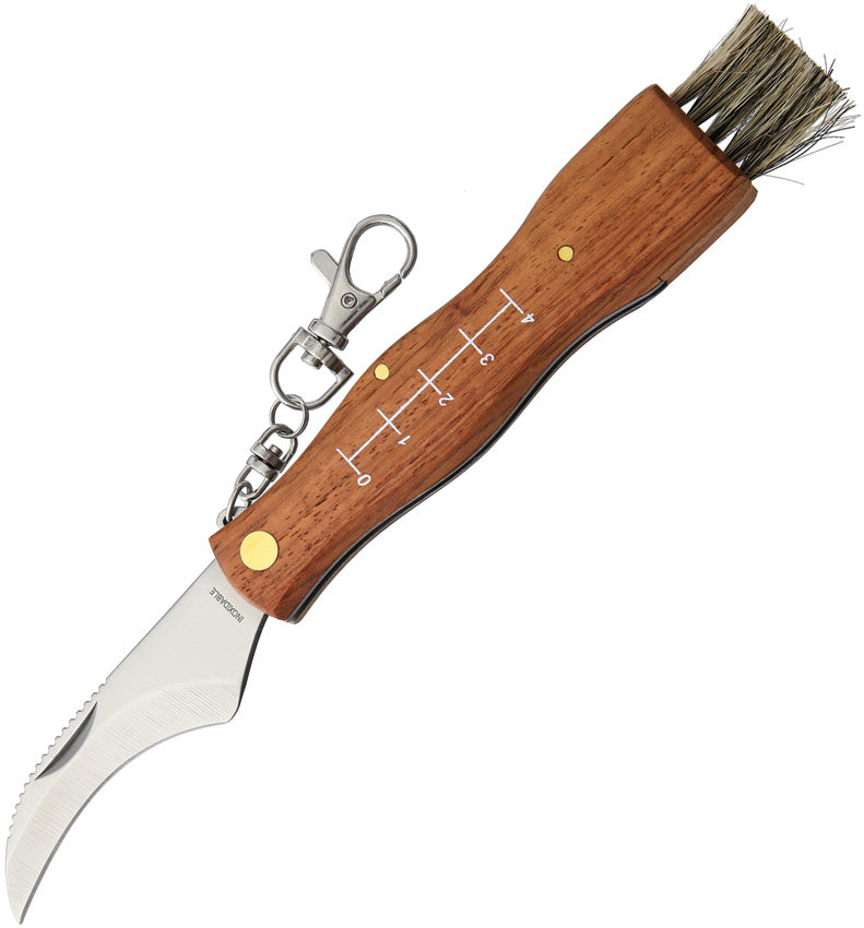 Mushroom Knife 2591 SILVER RING W/BOX