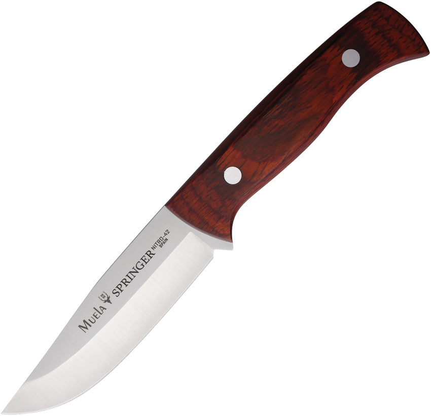 Springer Fixed Blade SPRINGER-11R