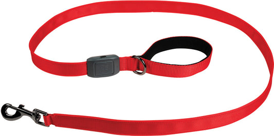Nitedog Rechargeable Leash