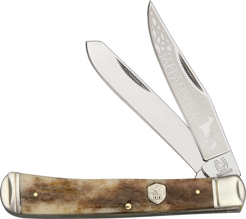 Trapper KB201 BROWN APPALOOSA