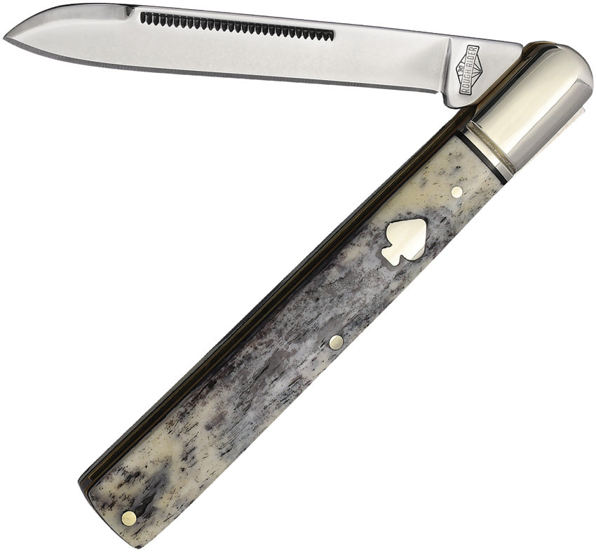 Black Appaloosa Doctor RR2484  KB164