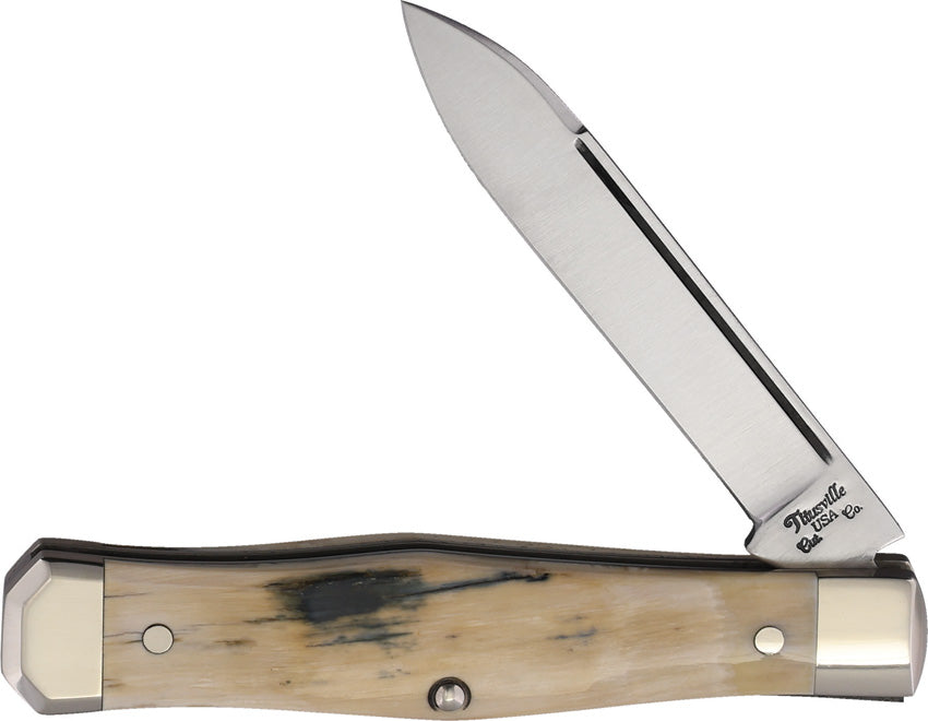 Lexingtonian Folder Mammoth