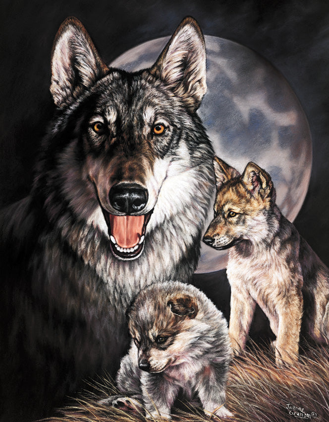 Graham Wolf Experience