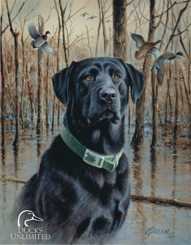 Ducks Unlimited 1203