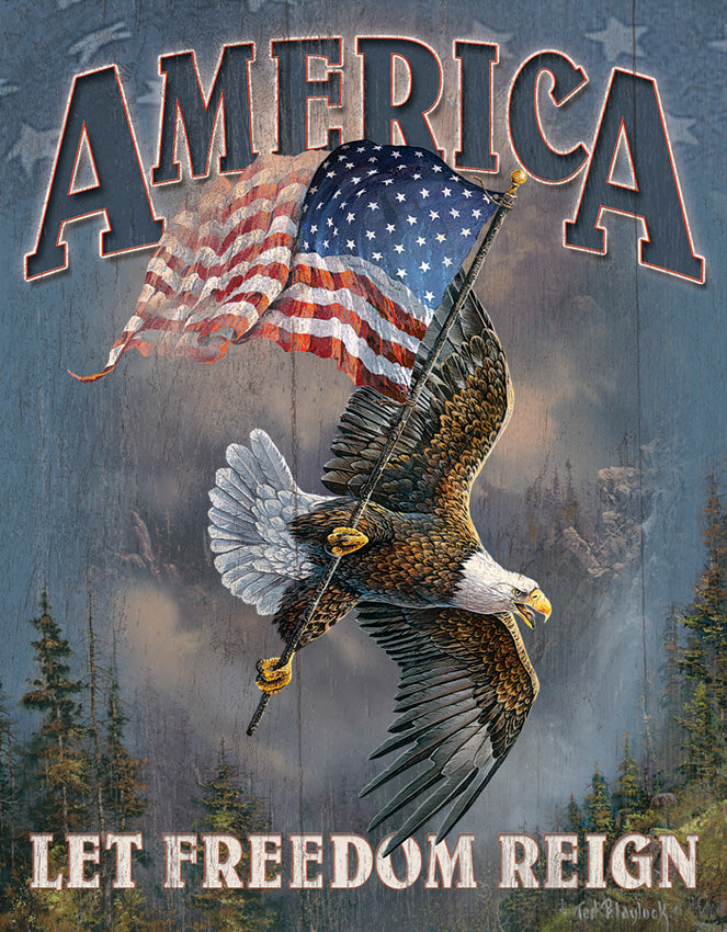 Let Freedom Reign 1668