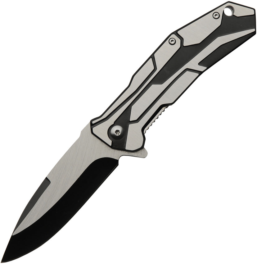 Black Raider Linerlock A/O 300541-BK